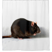 Rideaux De Douche Rat sccna (Devant)