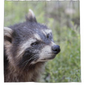 Rideaux De Douche raton laveur 519-1 (Devant)