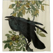 Rideaux De Douche Raven (Devant)