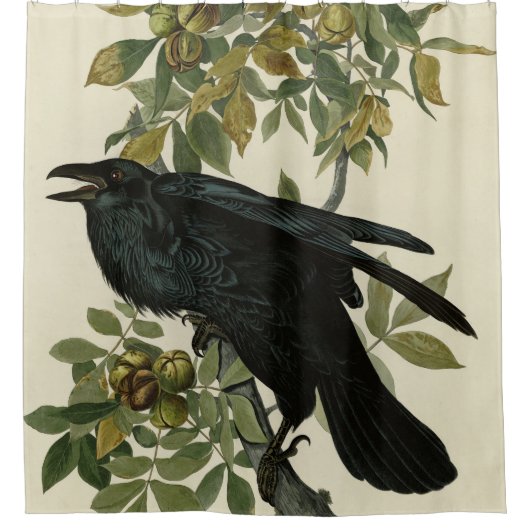 Rideaux De Douche Raven (Devant)