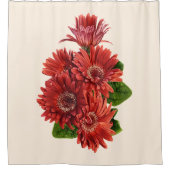 Rideaux De Douche Red Gerbera Daisies (Devant)