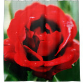 Rideaux De Douche Red Rose Love (Devant)