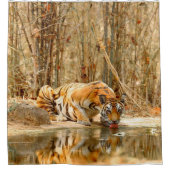 Rideaux De Douche Réflexion du tigre (Devant)