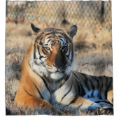 Rideaux De Douche Regal (Devant)