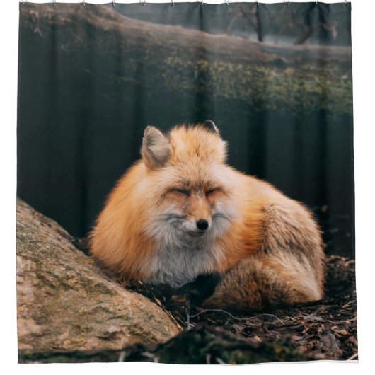 Rideaux De Douche Renard roux endormi (Devant)