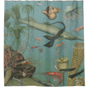 Rideaux De Douche Retro vintage marine biologie océanique