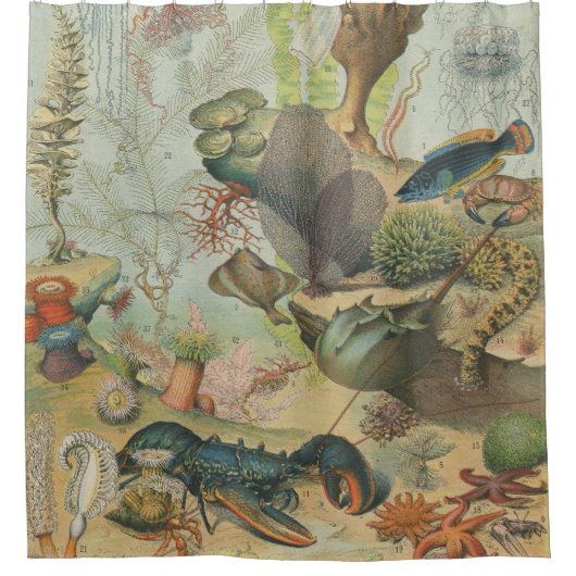 Rideaux De Douche Retro vintage marine biologie océanique (Devant)