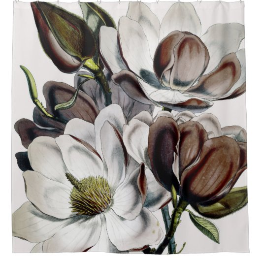 Rideaux De Douche Rêve de chocolat de magnolia (Devant)