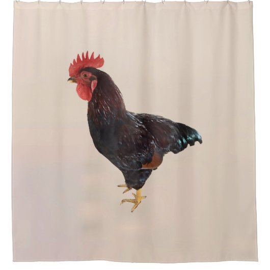 Rideaux De Douche Rhode Island Red Rooster (Devant)