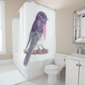 Rideaux De Douche Robin (En situation)