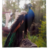 Rideaux De Douche Rock Peacock (Devant)