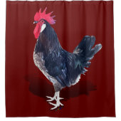 Rideaux De Douche Rooster de Minorque (Devant)