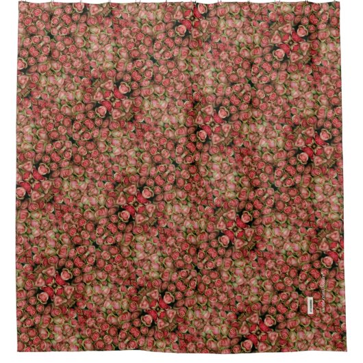 Rideaux De Douche Rose (Devant)