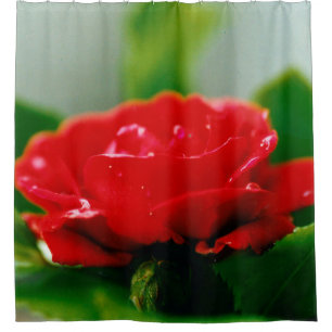 Rideaux De Douche Rose rouge du matin recouverte de gouttes de rosée