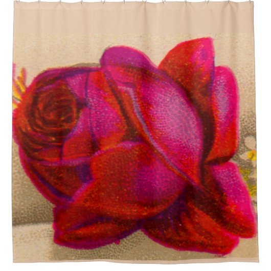 Rideaux De Douche Rose rouge victorienne (Devant)