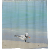 Rideaux De Douche Royal Tern on Beach Photographic Coastal (Devant)