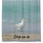Rideaux De Douche Royal Tern Seabird Beach Photographie (Devant)
