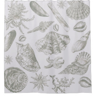 Rideaux De Douche Seashell Soft Antique Art Beach Shops