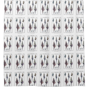 Rideaux De Douche Sept coquillages colorés