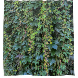 Rideaux De Douche Serene Green Ivy Wall Suspendre Vins Plantes Feuil