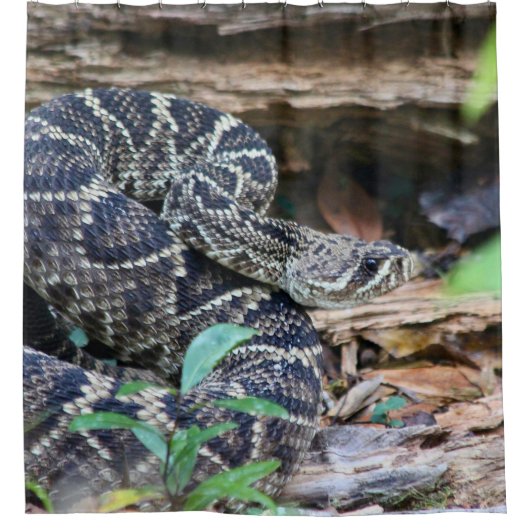 Rideaux De Douche Serpent à Sonnette Dans La Nature (Devant)