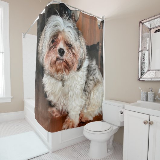 Rideaux De Douche Shih Tzu (En situation)