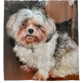 Rideaux De Douche Shih Tzu (Devant)