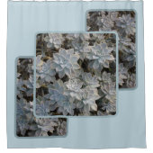 Rideaux De Douche Silvery Blue Succulents Botanique Photographie (Devant)