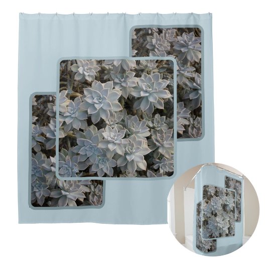Rideaux De Douche Silvery Blue Succulents Botanique Photographie