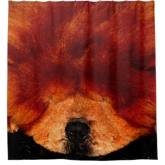 Rideaux De Douche Sleeping Chow Chow sccnm (Devant)