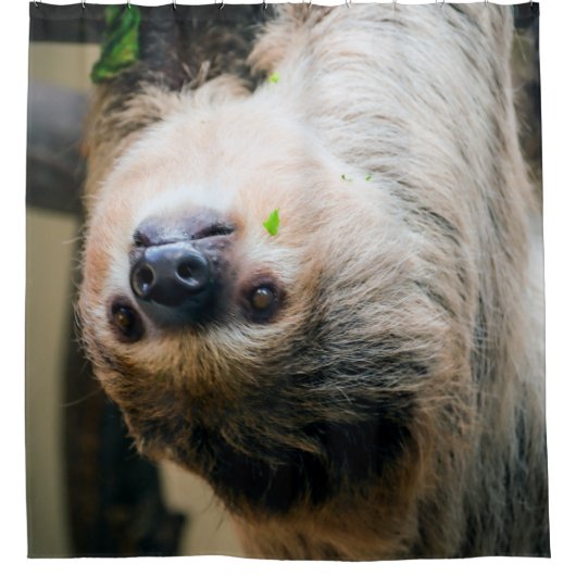 Rideaux De Douche Sloth 001 (Devant)