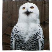 Rideaux De Douche Snowy Owl sccna (Devant)