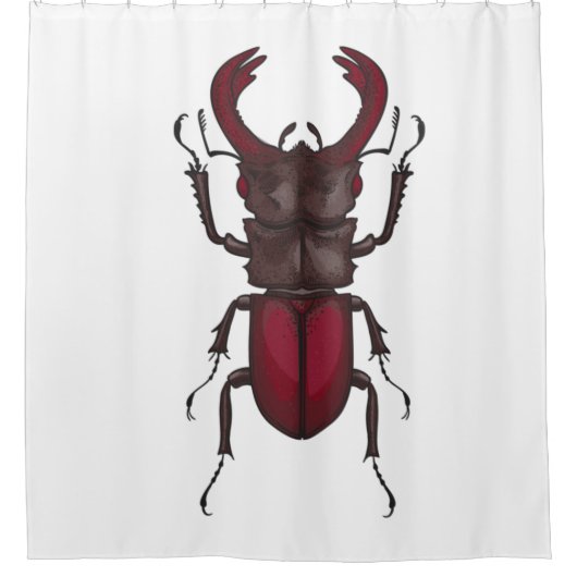 Rideaux De Douche Stag beetle (Devant)
