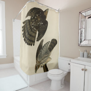 Rideaux De Douche Stanley (Cooper's) Hawk Audubon's Birds of America