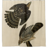 Rideaux De Douche Stanley (Cooper's) Hawk Audubon's Birds of America (Devant)