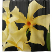 Rideaux De Douche Star Jasmine Flower sccna (Devant)