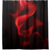 Rideaux De Douche Style moderne (Devant)