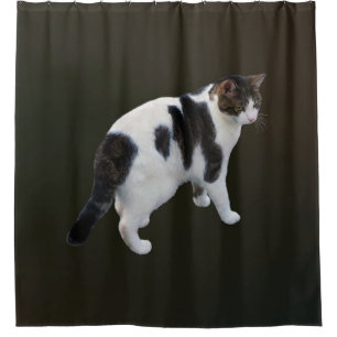 Rideaux De Douche Tabby Blanc Avec Patches Sombres