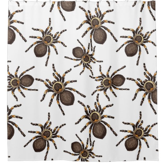 Rideaux De Douche Tarantula sur blanc (Devant)