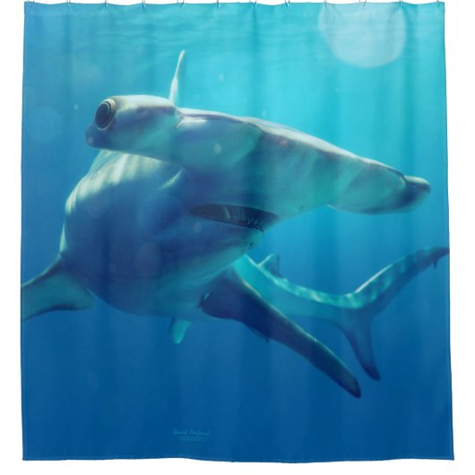 Rideaux De Douche Tête de marteau (Devant)