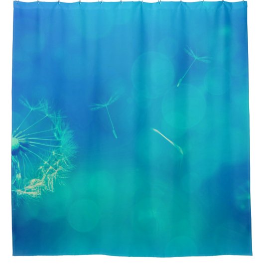 Rideaux De Douche Texture background dandelion nature (Devant)