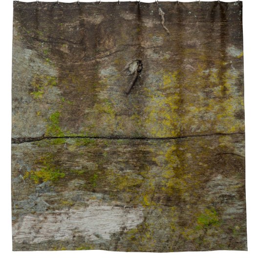 Rideaux De Douche Texture de mousse verte et arrière - plan. abstrai (Devant)