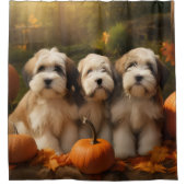 Rideaux De Douche Tibétain Terrier Chiot Automne Citrouille délice (Devant)