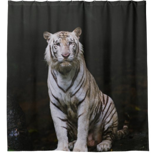 RIDEAUX DE DOUCHE TIGER BLANC (Devant)