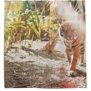 Rideaux De Douche TIGER Brown DANS LE GESTE DE MARCHE