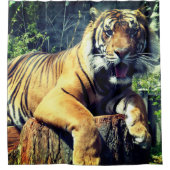 Rideaux De Douche Tigre (Devant)