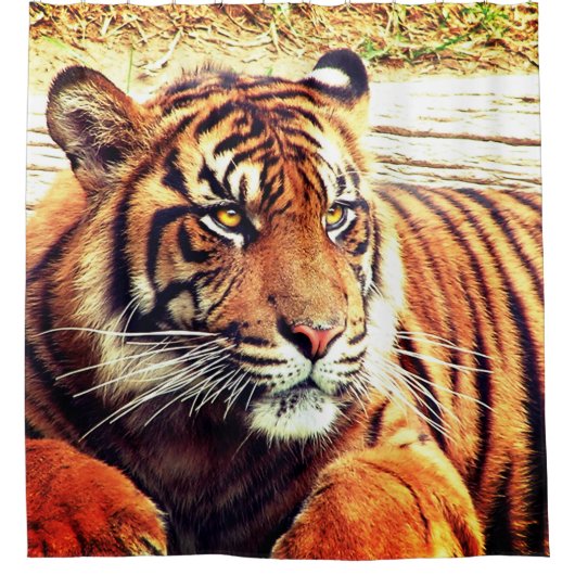 Rideaux De Douche Tigre (Devant)