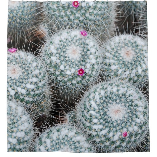 Rideaux De Douche Tiny rose Fleurs Plantes Cactus (Devant)