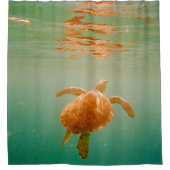 Rideaux De Douche Tortue de mer (Devant)