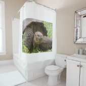 Rideaux De Douche Tortue géante (En situation)